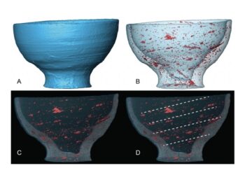 Studio di Ca' Foscari applica per la prima volta la 'microCT'