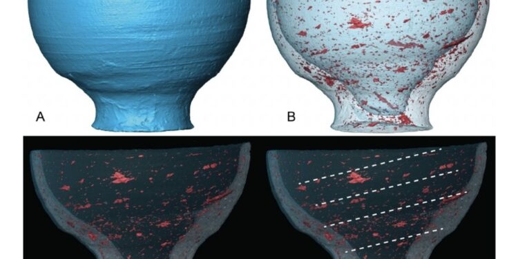 Studio di Ca' Foscari applica per la prima volta la 'microCT'