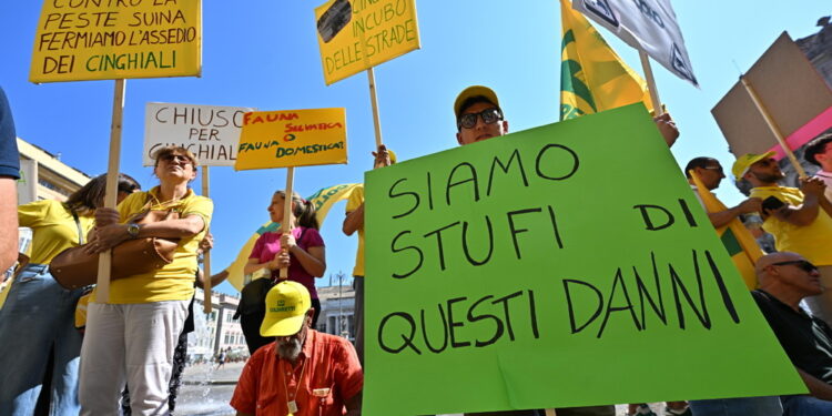 Dopo avere ottenuto porto d'armi e avere seguito un corso ad hoc