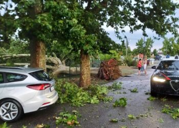 Piogge a tratti in giornata nel Torinese