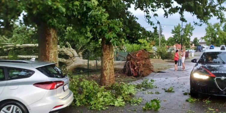 Piogge a tratti in giornata nel Torinese