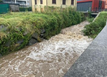 Disagi per superstrada verso Malpensa per un'auto ribaltata