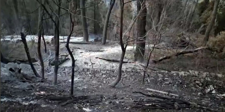 Ieri decine di ettari in fumo a Pozzomaggiore