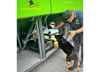 Operazione Gdf a Ventimiglia grazie al cane Hura