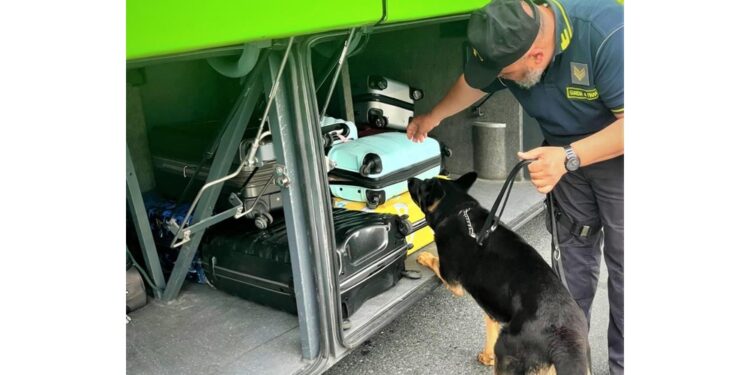 Operazione Gdf a Ventimiglia grazie al cane Hura