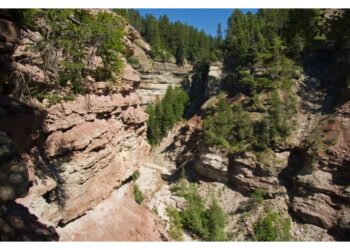 Sul posto il soccorso alpino Bassa Atesina e l'elisoccorso