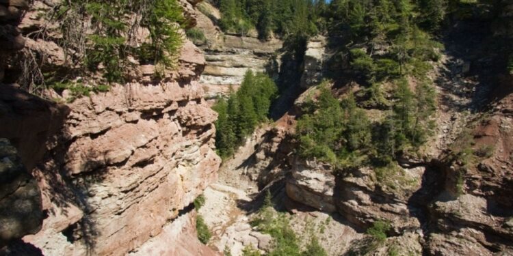 Sul posto il soccorso alpino Bassa Atesina e l'elisoccorso