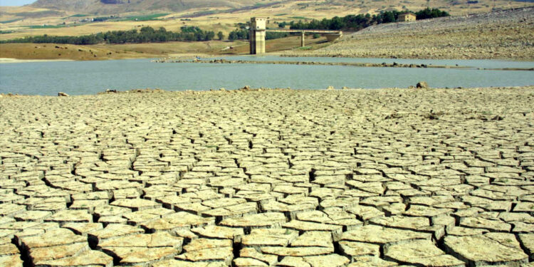 In un anno calano del 50% i volumi d'acqua