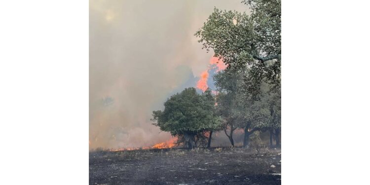 Tre fronti di fuoco dal pomeriggio di ieri