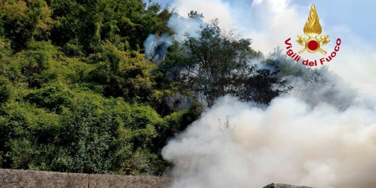 Fuoco propagato alla vegetazione. Acqua a automobilisti in coda