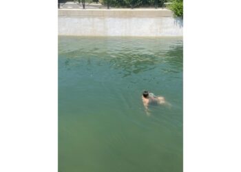 Ragazzi a nuoto nel canale