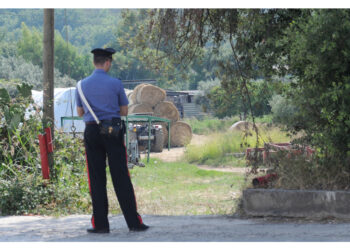 Incidente in mattinata nel Cremonese