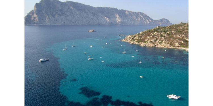 Appello ai vacanzieri per tutelare ambiente e fauna marina