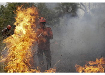 Per il governo la crisi è accentuata dal cambiamento climatico