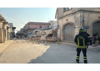 La struttura collassata di notte era sede di un negozio per pet