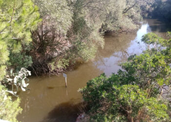 Le analisi Arpat finora sconosciute. Il 2/8 spiagge balneabili