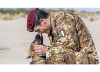 Storie d'amore per riconoscimento internazionale Camogli