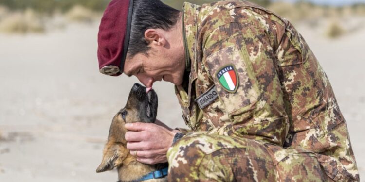 Storie d'amore per riconoscimento internazionale Camogli