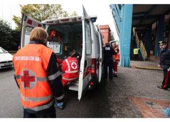 Il ritrovamento sulla statale Pontebbana in provincia di Treviso