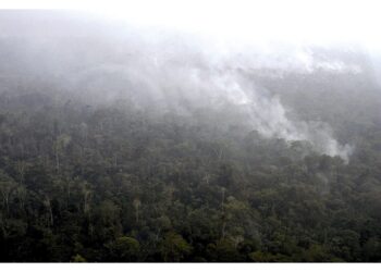 La colpa è degli incendi in Amazzonia