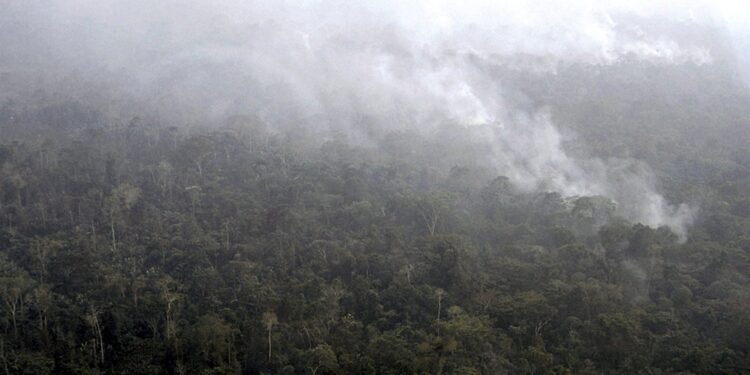 La colpa è degli incendi in Amazzonia