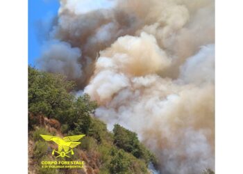 18 roghi divampati oggi. In volo Canadair ed elicotteri