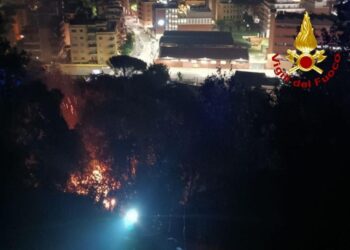 Anche alla luce dell'ampiezza della zona interessata da fiamme