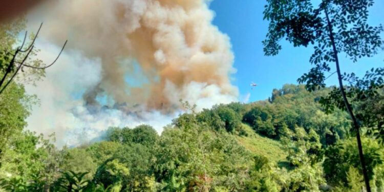 3 elicotteri operano sul posto. Giani ' Pronti con altri mezzi'