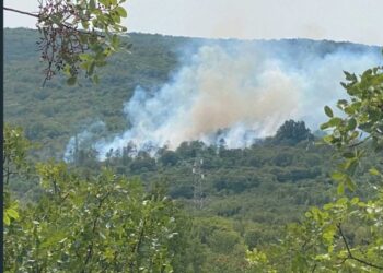 Sindaco Gorizia: 'Mobilitate squadre del Distretto'