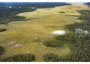 L'Amazzonia registra la peggiore stagione di incendi dal 2008