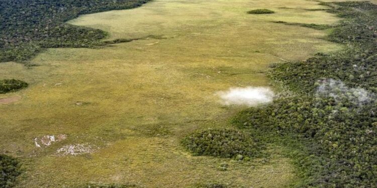 L'Amazzonia registra la peggiore stagione di incendi dal 2008