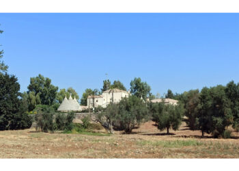 Relax in piscina e giochi d'acqua in masseria Valle d'Itria