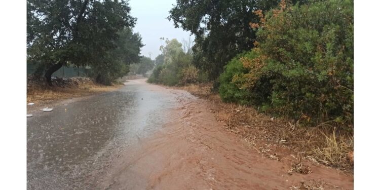 Allagati terreni e strade a Ceglie Messapica