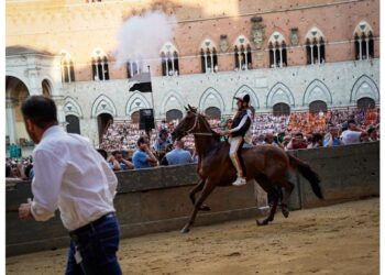 Ufficializzate le accoppiate cavallo-fantino