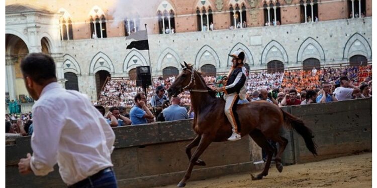 Ufficializzate le accoppiate cavallo-fantino