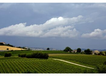 Al nord si toccheranno i 35 °C