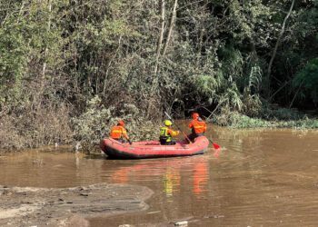 In azione anche i cani di Vigili del Fuoco e Carabinieri