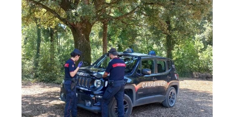 Carabinieri forestali lo bloccano mentre appicca fiamme a bosco