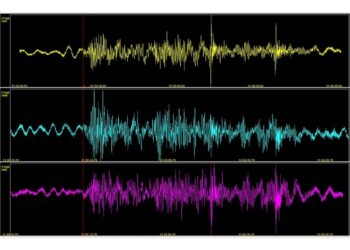 Bilancio attività a otto anni dal terremoto in Italia centrale