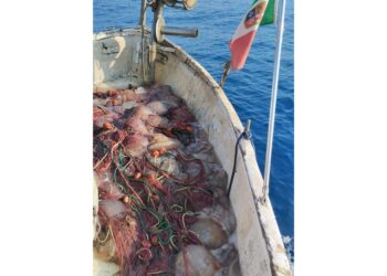 Operatori parlano di fenomeno mai visto a causa del caldo