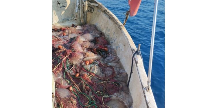 Operatori parlano di fenomeno mai visto a causa del caldo