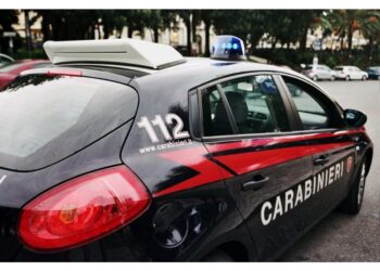 La donna era malata. Sono intervenuti i carabinieri