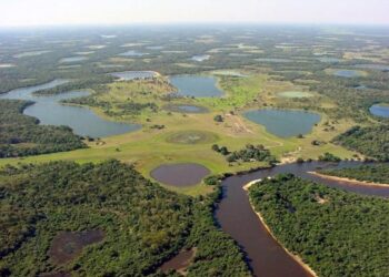 Aria irrespirabile a S. Paolo per il fumo dei roghi in Amazzonia