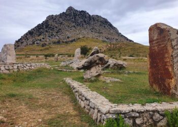 "La situazione è desolante