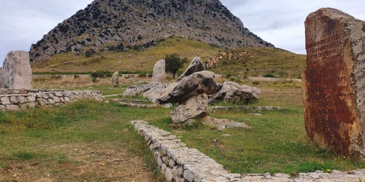 "La situazione è desolante