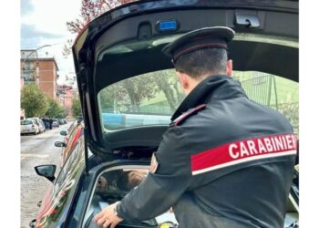 La vittima aveva il casco.Il conducente ha prestato soccorso