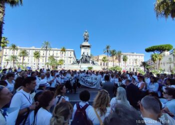 Al centro della protesta la difesa del profilo professionale