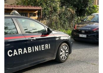 L'uomo ha tentato di scappare ma è stato fermato dai carabinieri