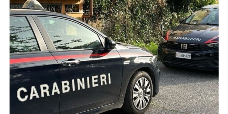 L'uomo ha tentato di scappare ma è stato fermato dai carabinieri