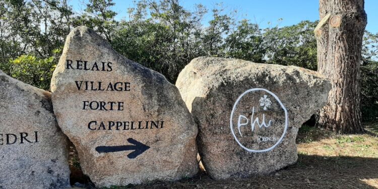 Ha sbattuto la testa per terra nel parcheggio del Phi Beach